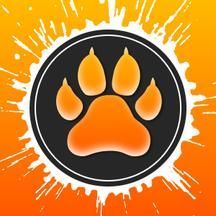 Trac System Server on Ubuntu 18.04.jpg