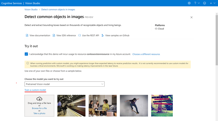 Vision Studio view of Detect Common Objects in images page