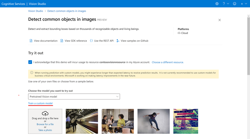 Vision Studio view of Detect Common Objects in images page
