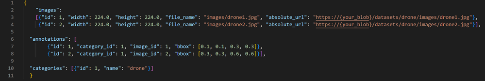 COCO file view of labels in JSON format