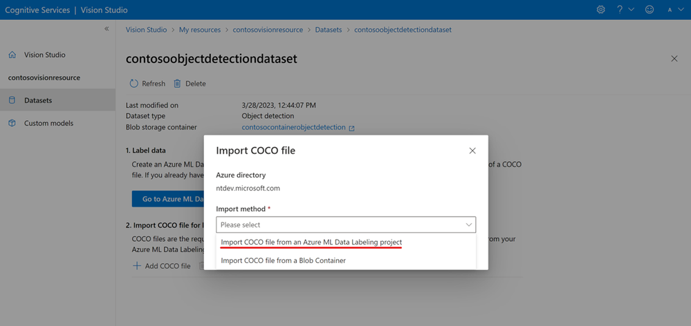 Vision Studio dialog to import a COCO file from Azure ML labeling project