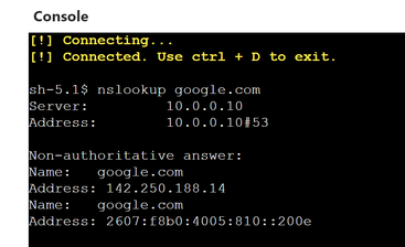 nslookup.png
