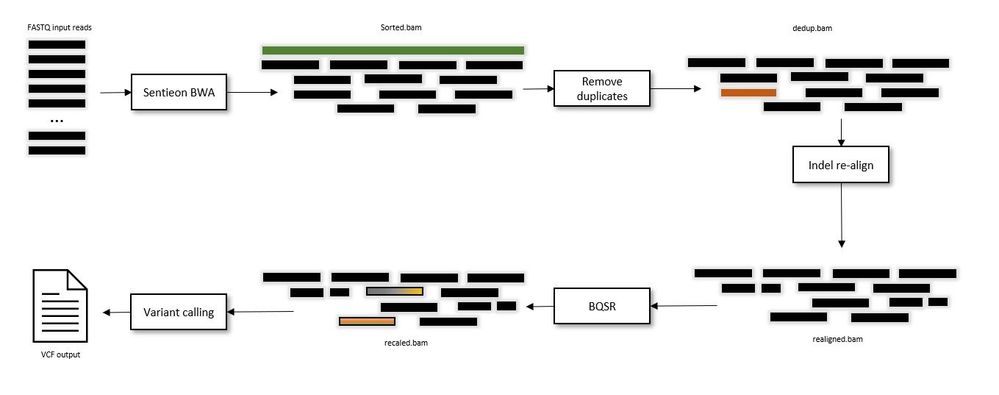 DNAseq flow