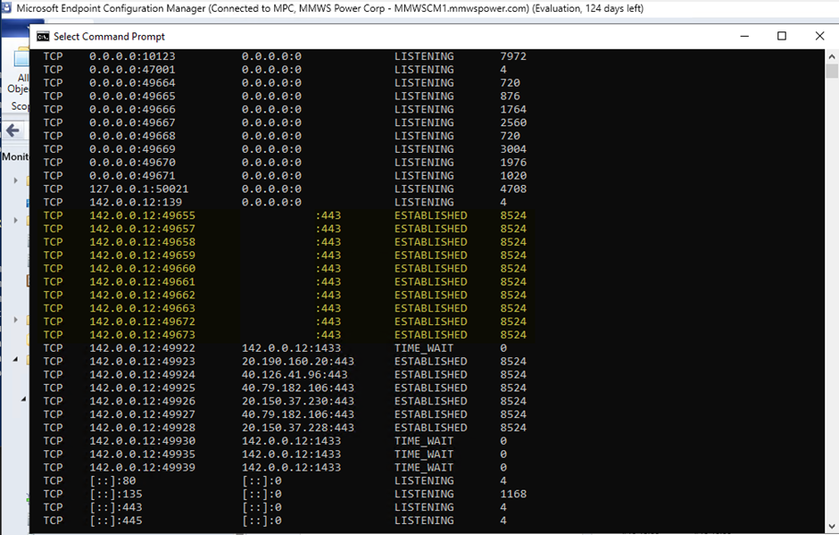 Figure 3: Output of netstat -aon with a single VM instance.