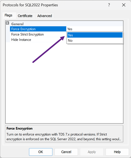 Screenshot of Protocol Properties for a SQL Server