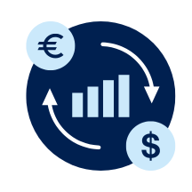 Cash Flow by Currency.png