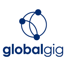 GlobalNetworkConnectivityandManagementPlatform.png