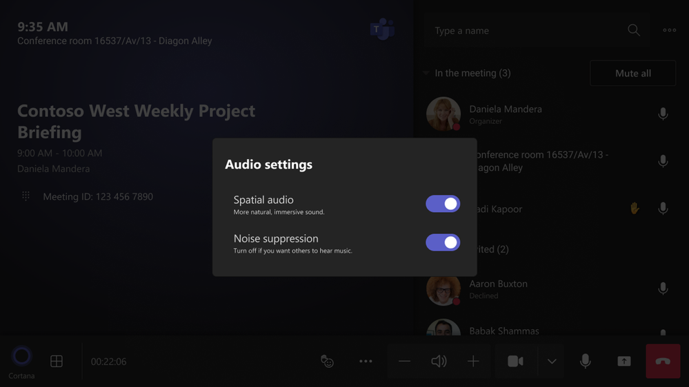 Spatial Audio Settings.png