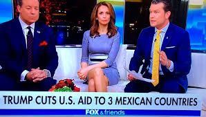 fox.jpg