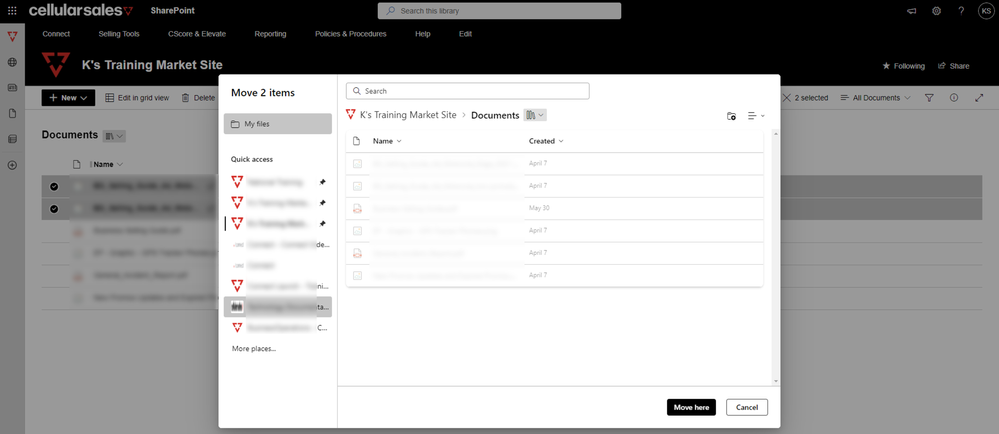 Pinned Libraries - Quick Access.png