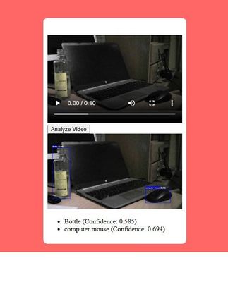 vid3.JPG