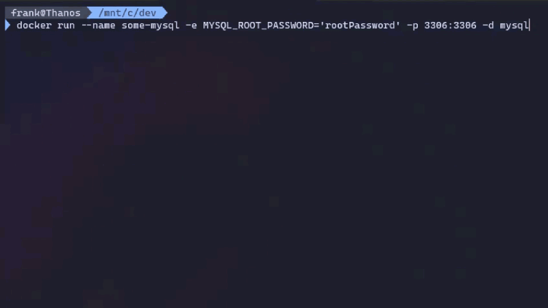 Docker-Run-MySQL.gif