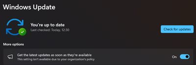 ErikMoreau_0-1699711427743.png