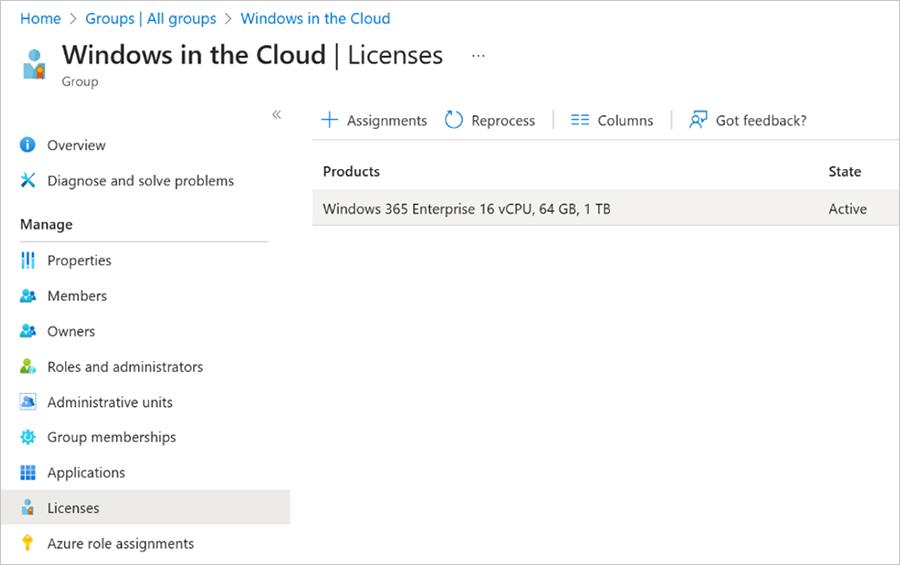 Screenshot of the Windows in the Cloud licenses menu