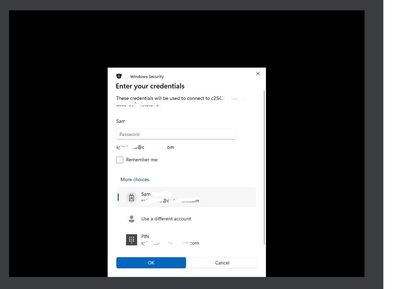 Windows Security Error.jpg