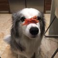 Liwei's avatar