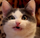 joshuaholcomb's avatar