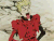 Versus506's avatar