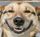 PrestonM's avatar