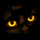 MonteR xz's avatar