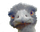 Christian_Hugoud's avatar