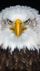 waseem's avatar