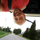 kevinfreels's avatar