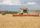 TractorBoy79's avatar