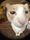 muhagx's avatar