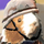 tier1to8's avatar
