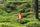 White_fang_of_leaf's avatar