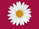 Laura_2021's avatar