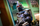 jcfleal's avatar