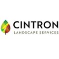 cintronlandscape's avatar
