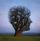 Michael Johanson's avatar