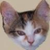ElisaBl_13000's avatar
