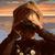 Nonsaho's avatar