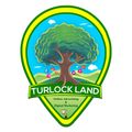 turlockland's avatar