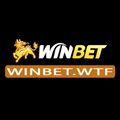 winbetwtf's avatar