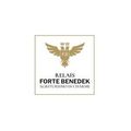 relaisfortebenedek's avatar