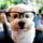 TorontoCat's avatar