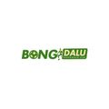bongdalukim's avatar