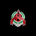 rayyanclub's avatar