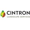 landscacintron's avatar