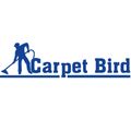 carpetbird23's avatar