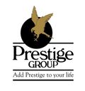 pineforest's avatar
