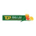 topgialainet's avatar