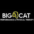 bigcatperforman's avatar