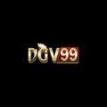 dgv99's avatar