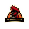 truonggasavanvip's avatar